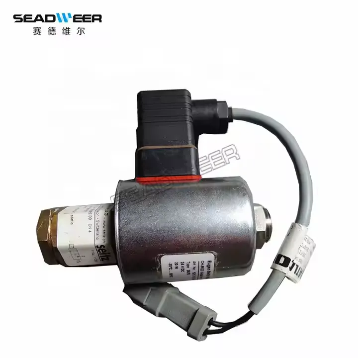 1089045110 Solenoid Valve Supplier for Portable Air Compressor