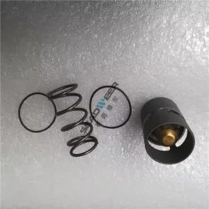 2901161600 Thermostatic Valve Service Kit for Atlas Copco
