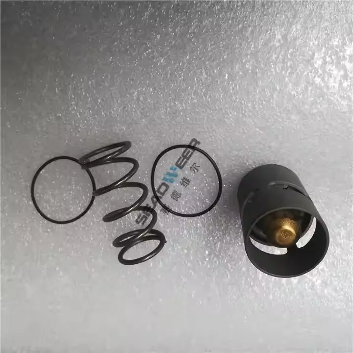 2901161600 Thermostatic Valve Service Kit for Atlas Copco