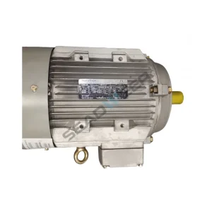 Atlas Copco Motor 1091631955 5.5Kw 50 60Hz 400 690V