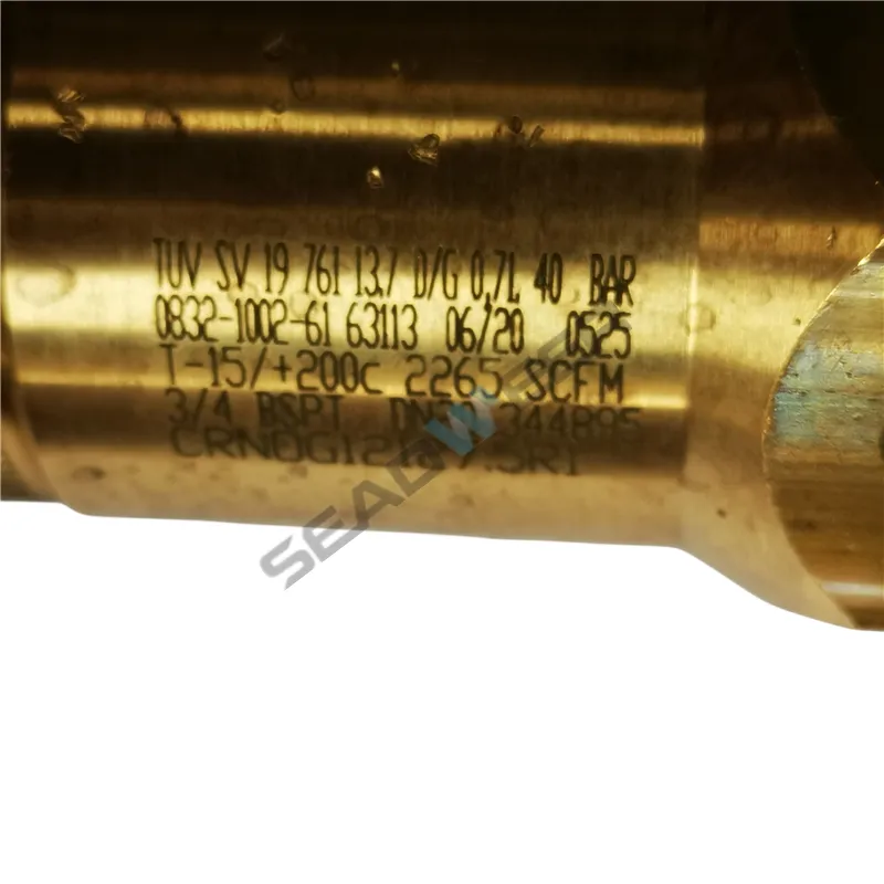 Atlas Copco Safety Valve 0832100261 for Air Compressor 4