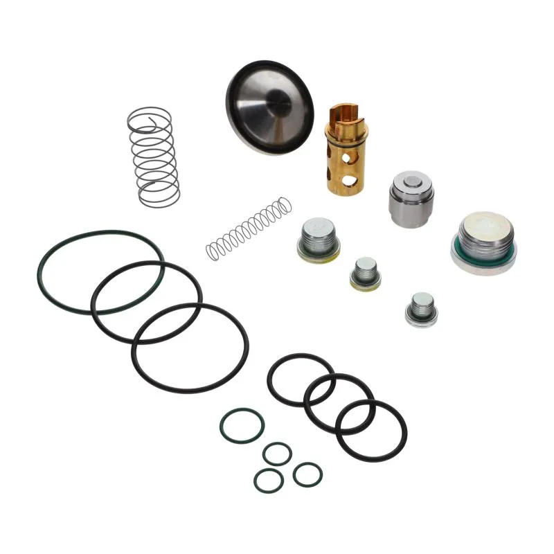 Atlas Copco 2901202000 Oil Stop Valve Chcek Valve Kit（1）