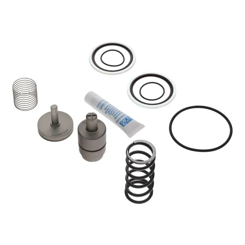 Atlas Copco 2901099700 MIN Pressure Pressure Valve Kit (2)