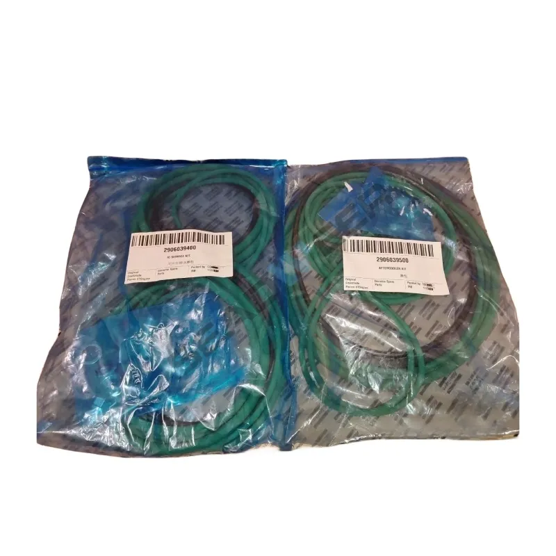 Atlas Copco ZR160–275 2906039400 IC Service Kit (4)
