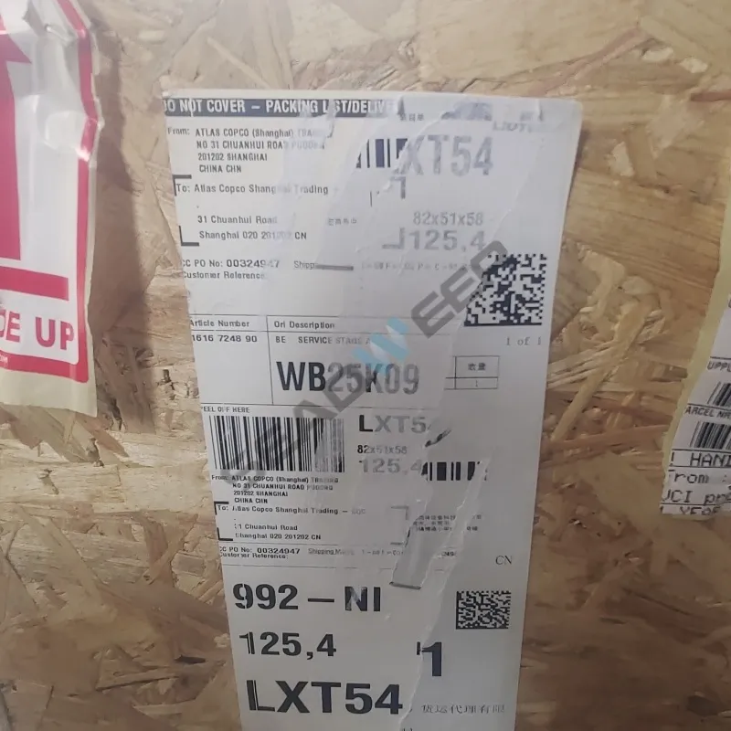 C106 OMCO 1616738791 Air End for Atlas Copco AQ15-30 (4)