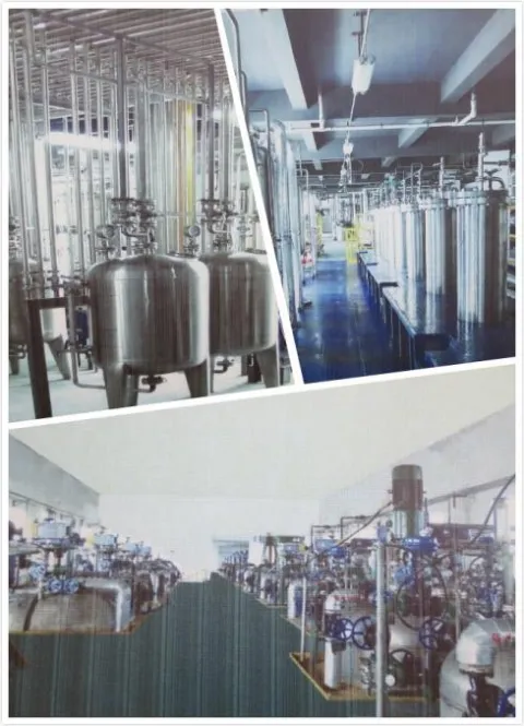 Fermentation Production Line