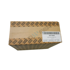 Atlas Copco 3002601750 Service Kit for GA15 GA18 (4)